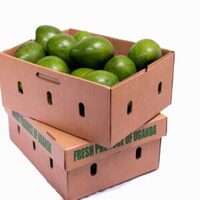  Avocado Uganda 10KG VOOR €50